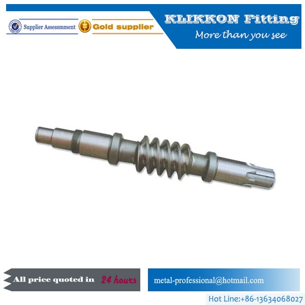 CNC machining precision Worm Gear and shaft