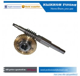 Custom gear mini small stainless steel brass worm gear  Custom gear mini small stainless steel brass worm gear