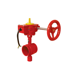 Worm-Gear Cast Iron Double Flanged butterfly Valve