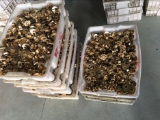 Customer from Czech Republic has sent us an inquiry Customer from Czech Republic has sent us an inquiry