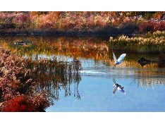 Know more about Yuhuan Know more about Yuhuan